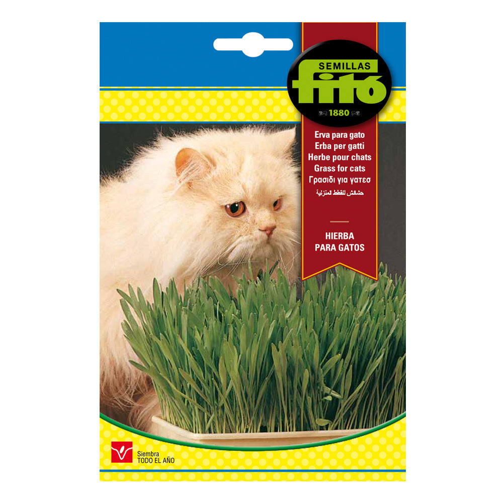 Fito Heirba Para-Cat Grass - THE GARDEN CENTRE