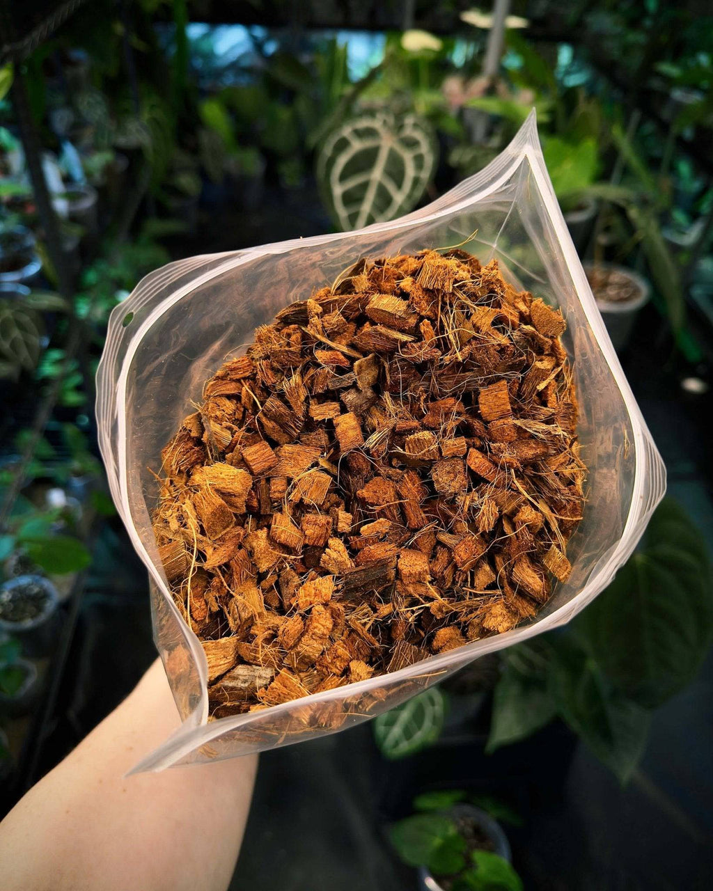 Coco Chips-5ltr