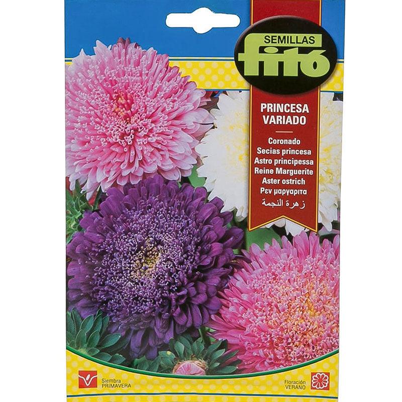 Fito Aster Ostrich Plume mix - THE GARDEN CENTRE