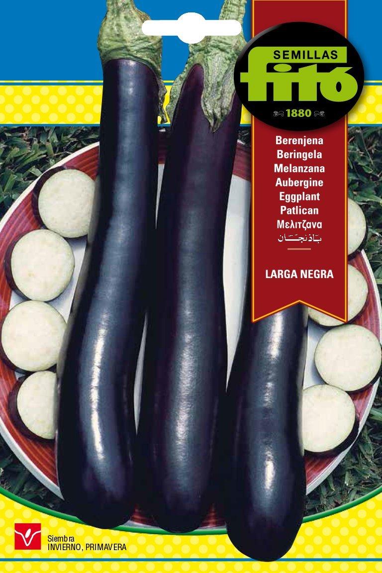 Fito Eggplant Larga Negra - THE GARDEN CENTRE
