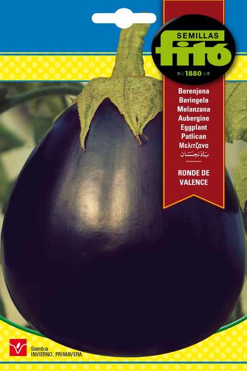 Fito Eggplant Redonda Negra - THE GARDEN CENTRE