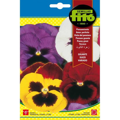 Fito Pansy swiss giant mixed - THE GARDEN CENTRE