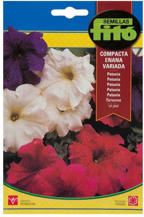 Fito Petunia dwarf compact mixed - THE GARDEN CENTRE
