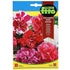 Fito Petunia multi flora hybrid double mix - THE GARDEN CENTRE