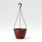 Algarve Hanging Pot 19cm - THE GARDEN CENTRE