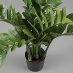 Artificial Zamioculcas Zamiifolia - THE GARDEN CENTRE