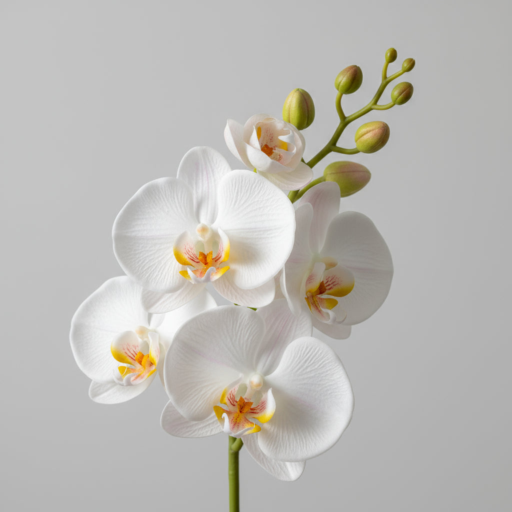 Orchid artificial - THE GARDEN CENTRE