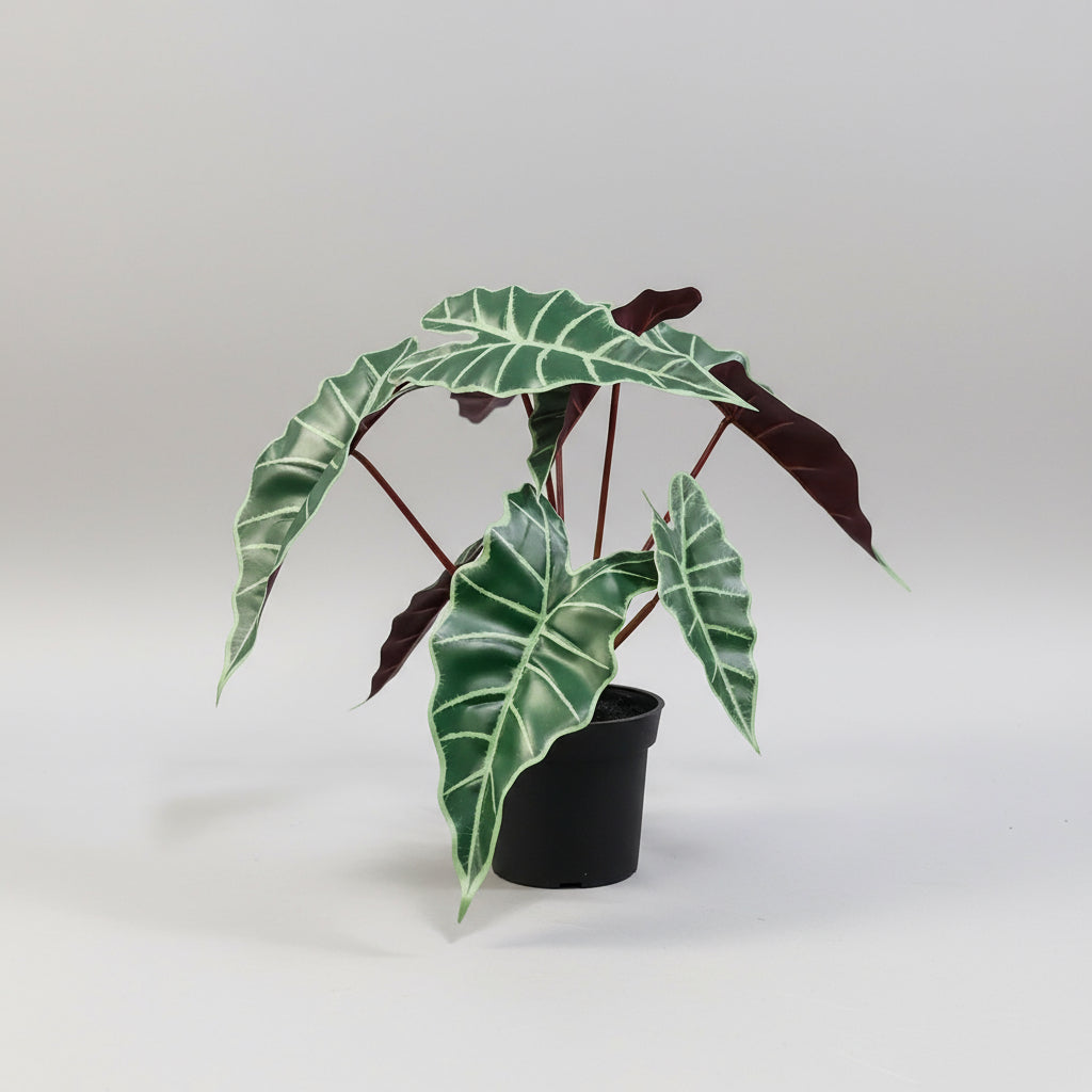 Artificial Alicasia Poly. - THE GARDEN CENTRE