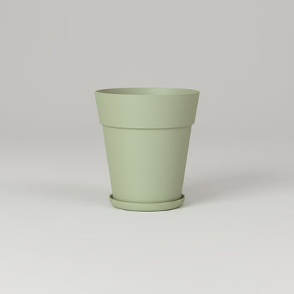 وعاء أوركيد أرتيفاسي كابري بقطر 12.5 سم 