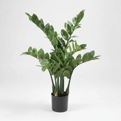 Zamioculcas Zamiifolia اصطناعي