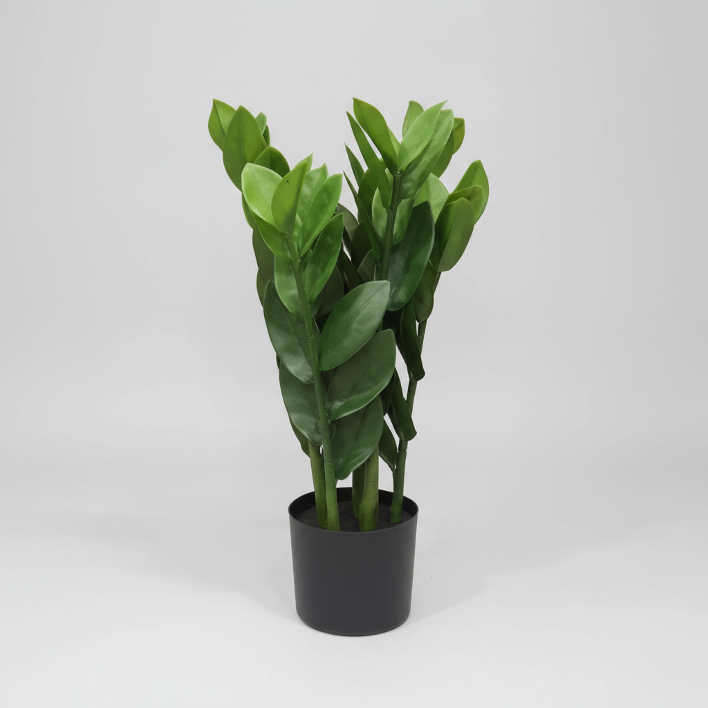 Artificial Zamioculcas Zamiifolia - THE GARDEN CENTRE