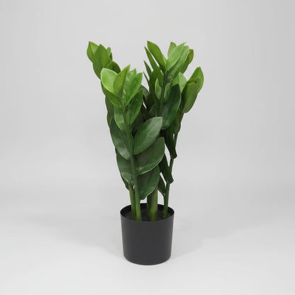 Zamioculcas Zamiifolia اصطناعي