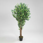 Artificial  Variegated Ficus Tree - THE GARDEN CENTRE
