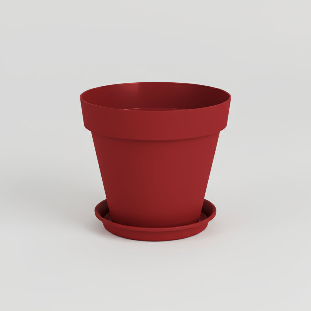 وعاء كابري مع صحن