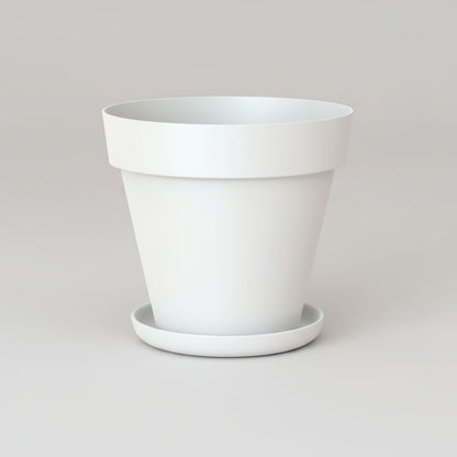 وعاء كابري مع صحن