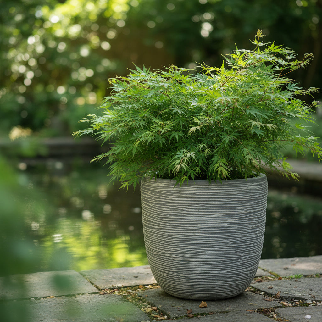 سرير KAP المضلع 35 سم × 35 سم - رمادي/بني