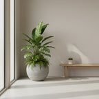 KAP Ribbed GLOBE Planter 40cm x 32cm -Grey - THE GARDEN CENTRE