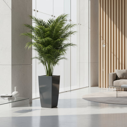 وعاء زراعة طويل في ساحة بيزا