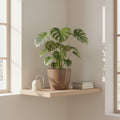 Artevasi San remo Pot