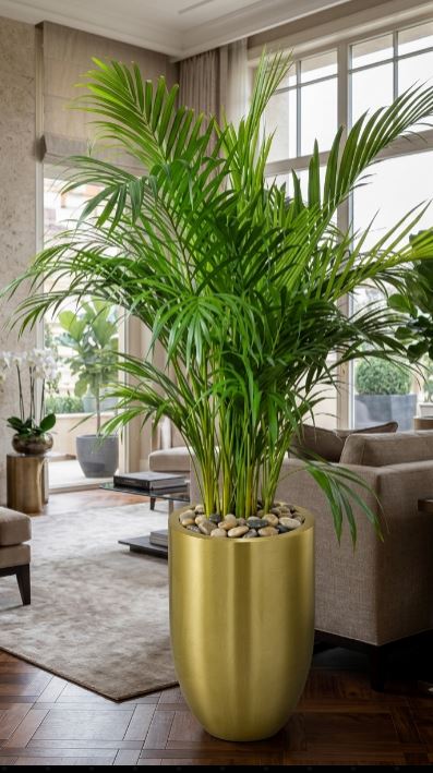 Aluminum Premium Planter with Decorative Plants - THE GARDEN CENTRE
