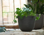 Havana horizon pot - THE GARDEN CENTRE