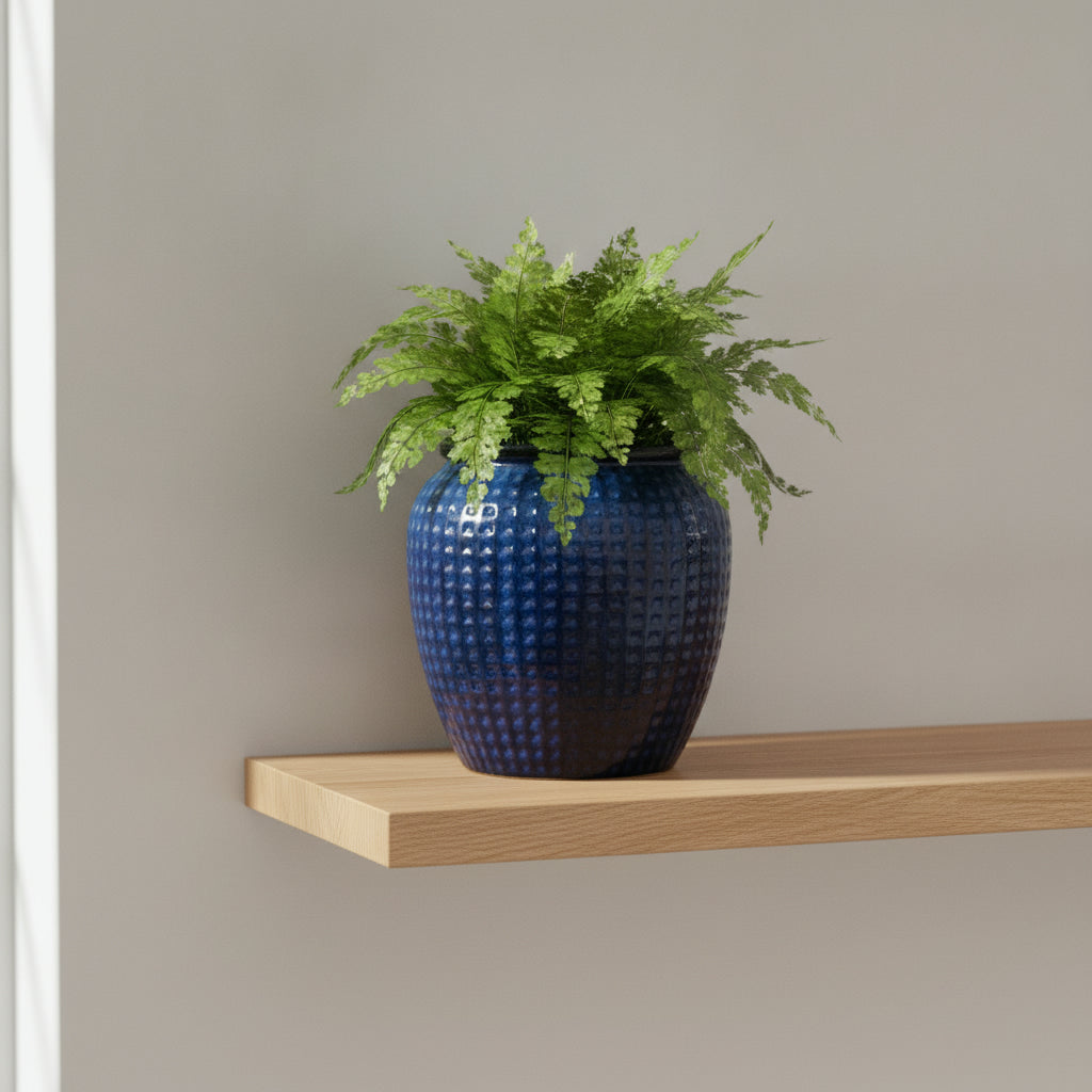 Ceramic Project  Planter -168256 - THE GARDEN CENTRE