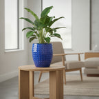 Glazed Ceramic planters-271652 - THE GARDEN CENTRE