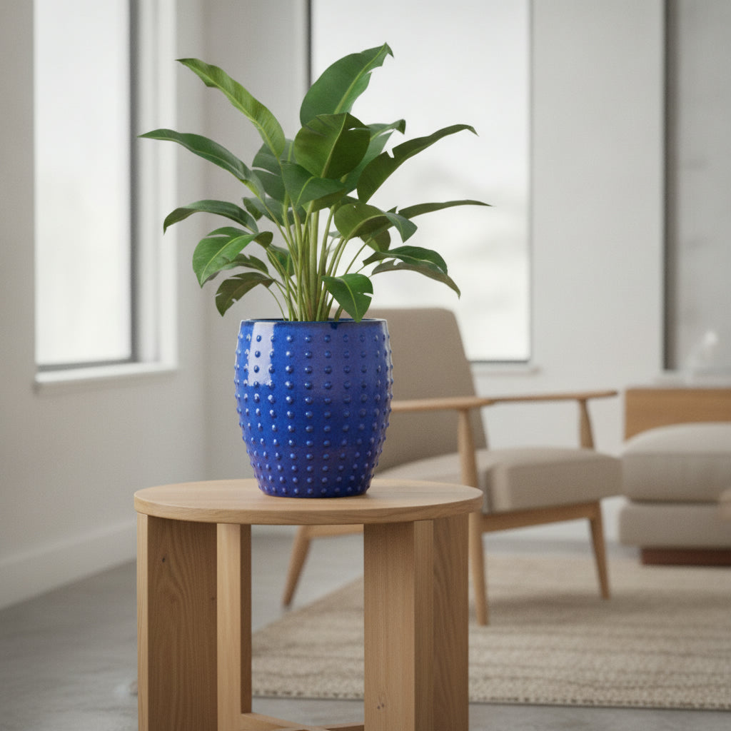 Glazed Ceramic planters-271652 - THE GARDEN CENTRE