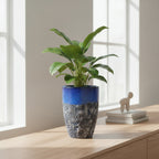 TGC Ceramic Tall Planter - 2811242 - THE GARDEN CENTRE