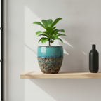 TGC Ceramic Planters - 26451048 - THE GARDEN CENTRE