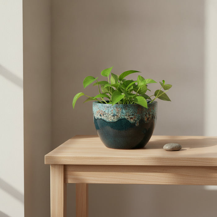 Glazed Ceramic Planters-2691147