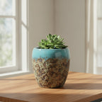 Ceramic Planters -189202 - THE GARDEN CENTRE