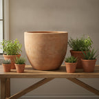 ANTIQUE  Terracotta  Planter-103448 - THE GARDEN CENTRE