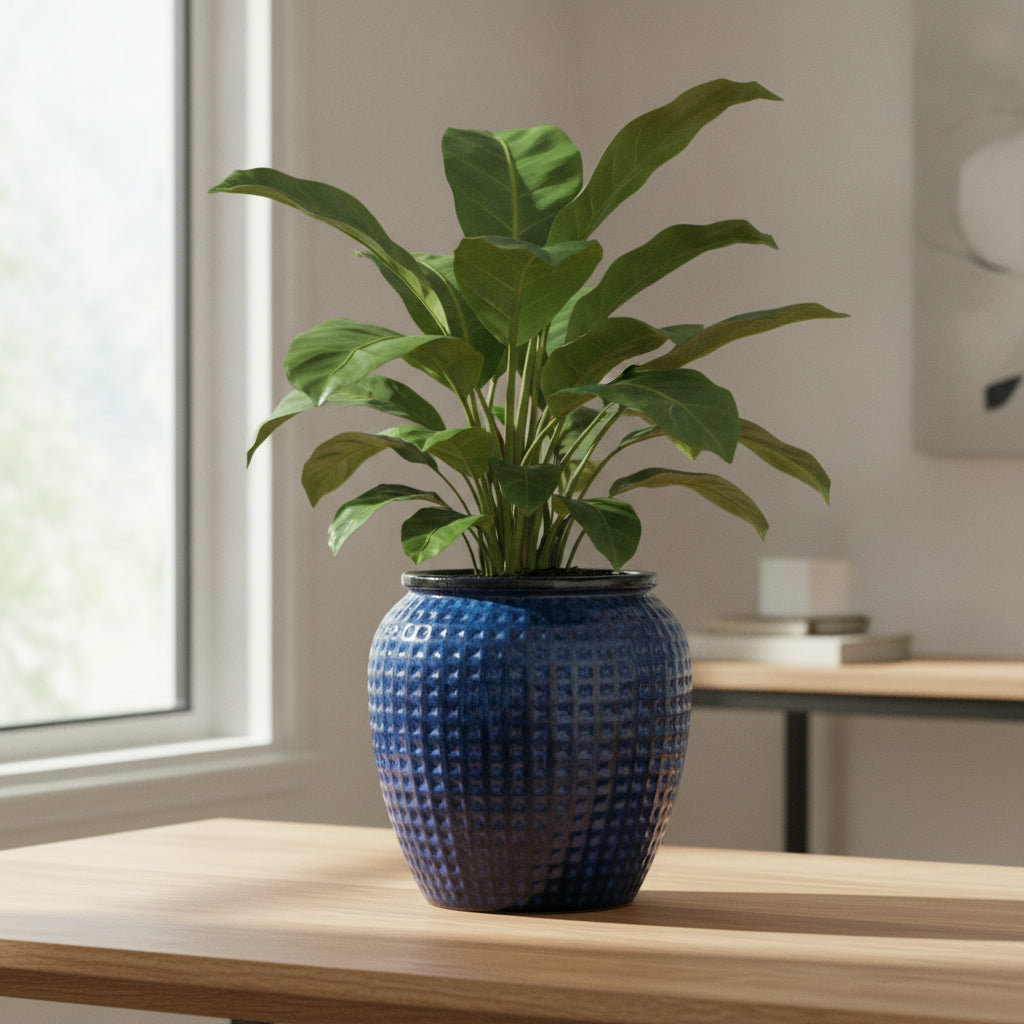 Ceramic Project  Planter -168256 - THE GARDEN CENTRE