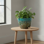 Glazed Ceramic Planters-107549 - THE GARDEN CENTRE