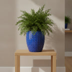 Glazed Ceramic planters-271652 - THE GARDEN CENTRE