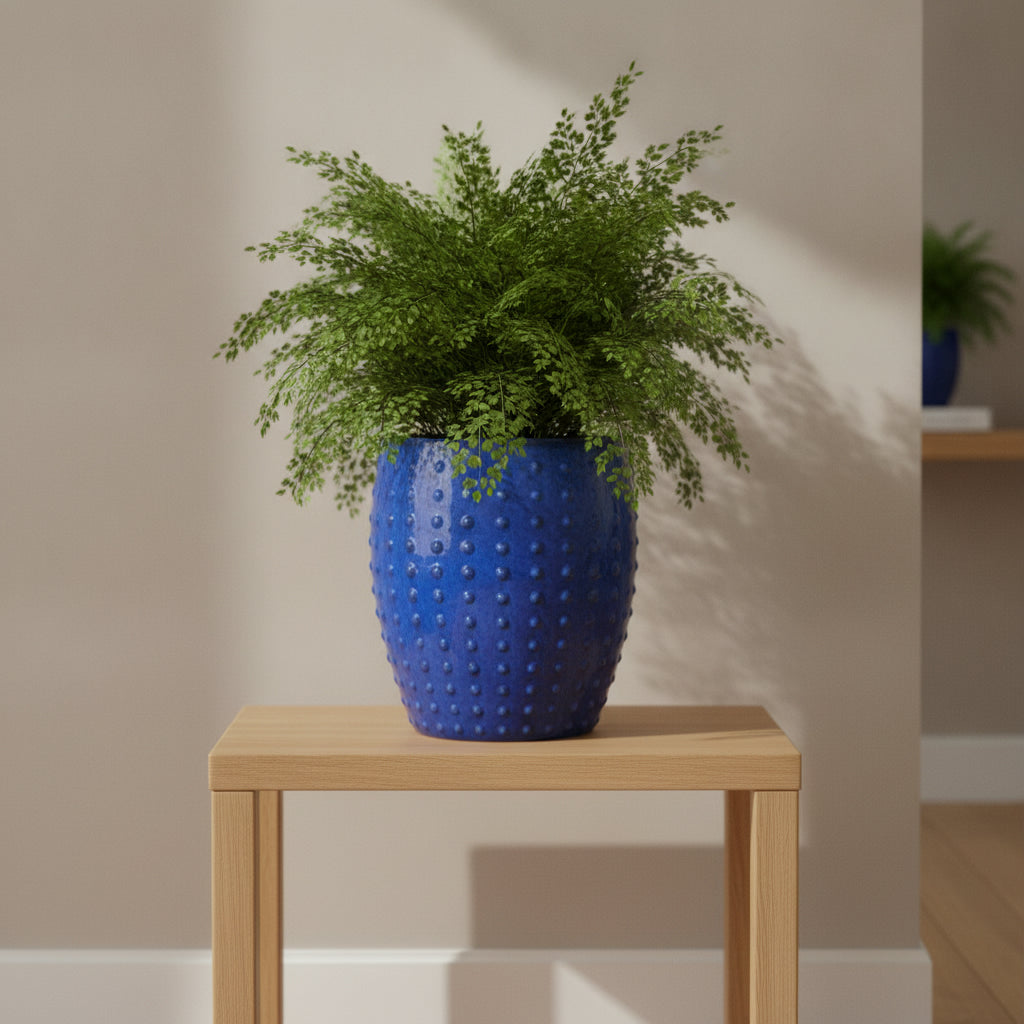 Glazed Ceramic planters-271652 - THE GARDEN CENTRE