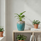 Ceramic Planters -189201 - THE GARDEN CENTRE