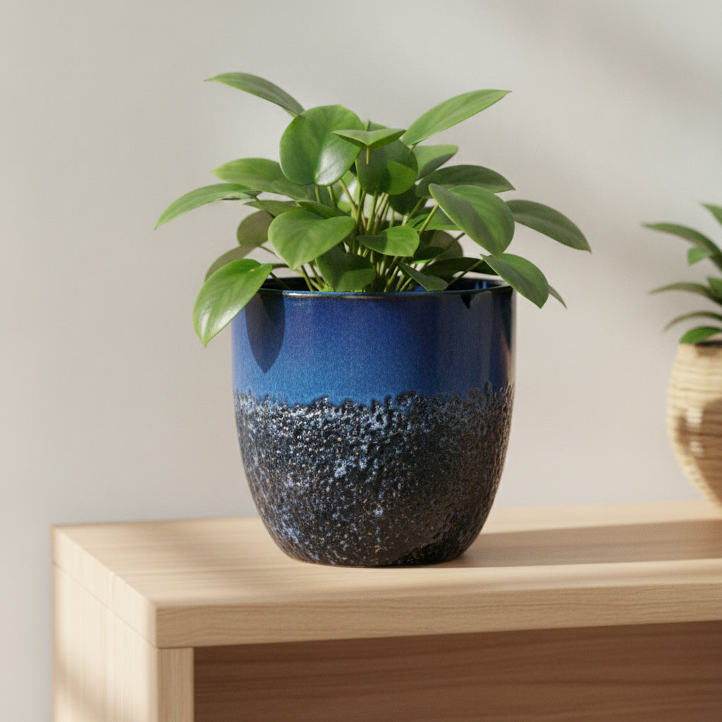 Glazed Ceramic Planter-26451059 - THE GARDEN CENTRE