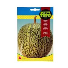 Fito Squash Kabak