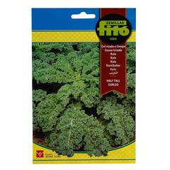 Fito Kale - THE GARDEN CENTRE