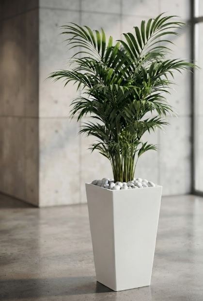 Premium Palm Décor Set