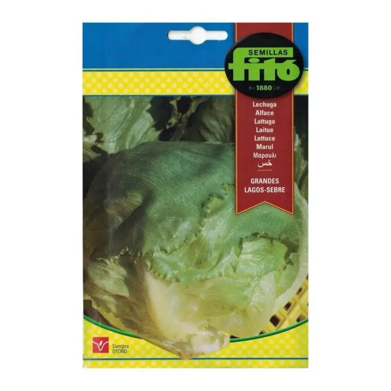 Fito Lettuce Mix - THE GARDEN CENTRE