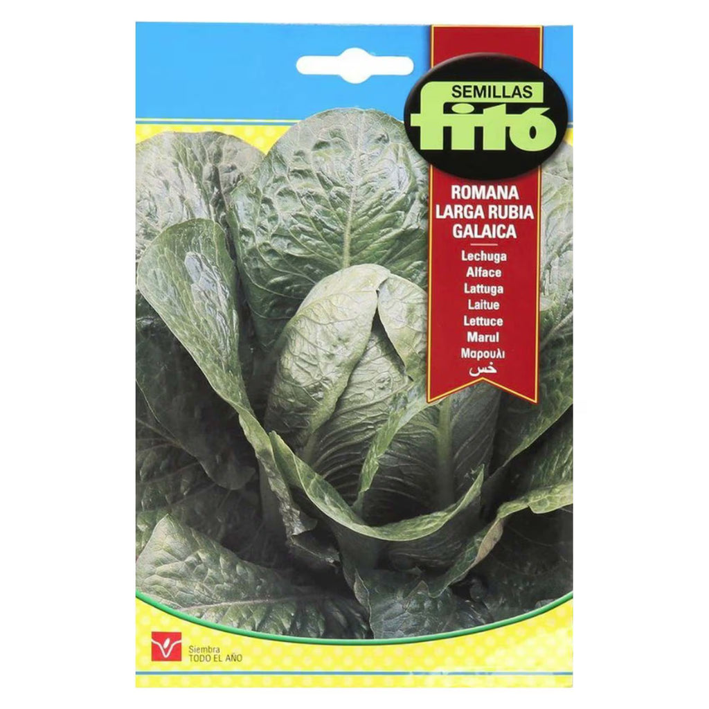 Fito Lettuce Mix - THE GARDEN CENTRE