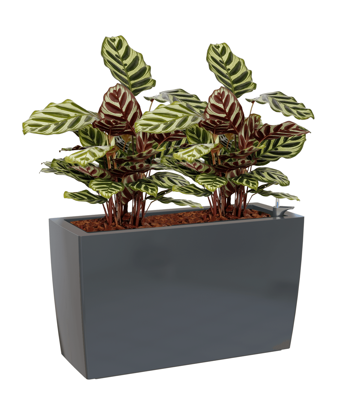 Marbella Rectangular planter - THE GARDEN CENTRE
