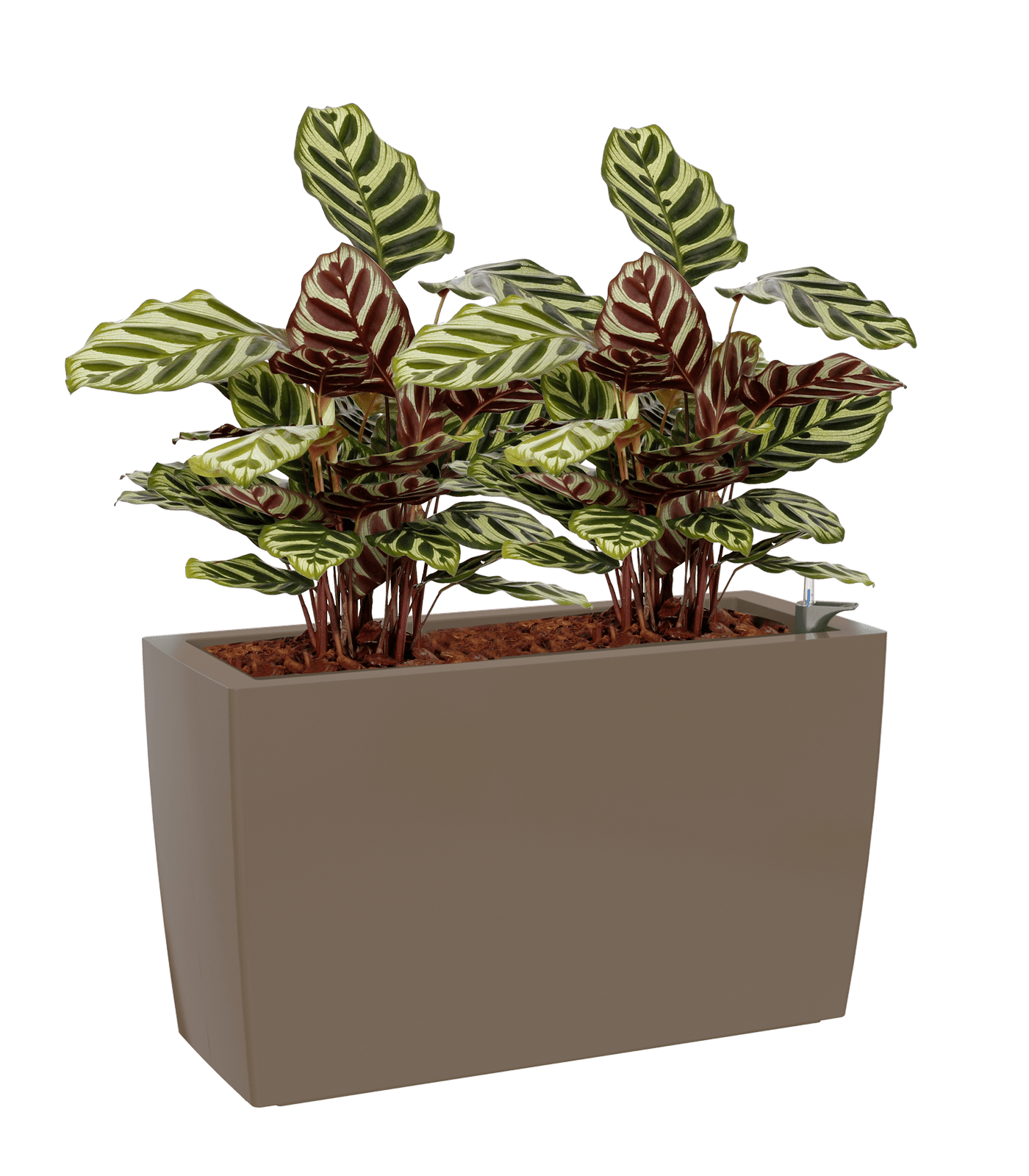 Marbella Rectangular planter - THE GARDEN CENTRE