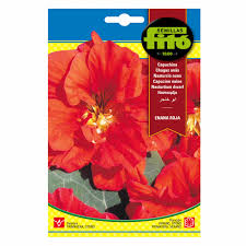 Fito Nasturtiom Seeds - THE GARDEN CENTRE