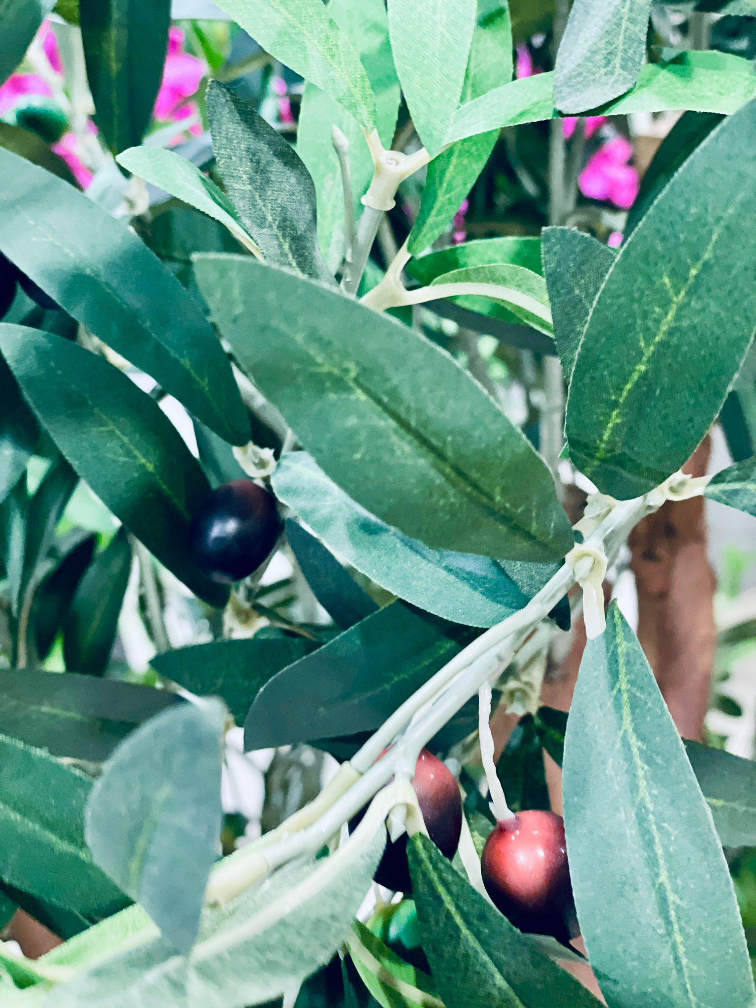 Olive Tree Artificial. - THE GARDEN CENTRE