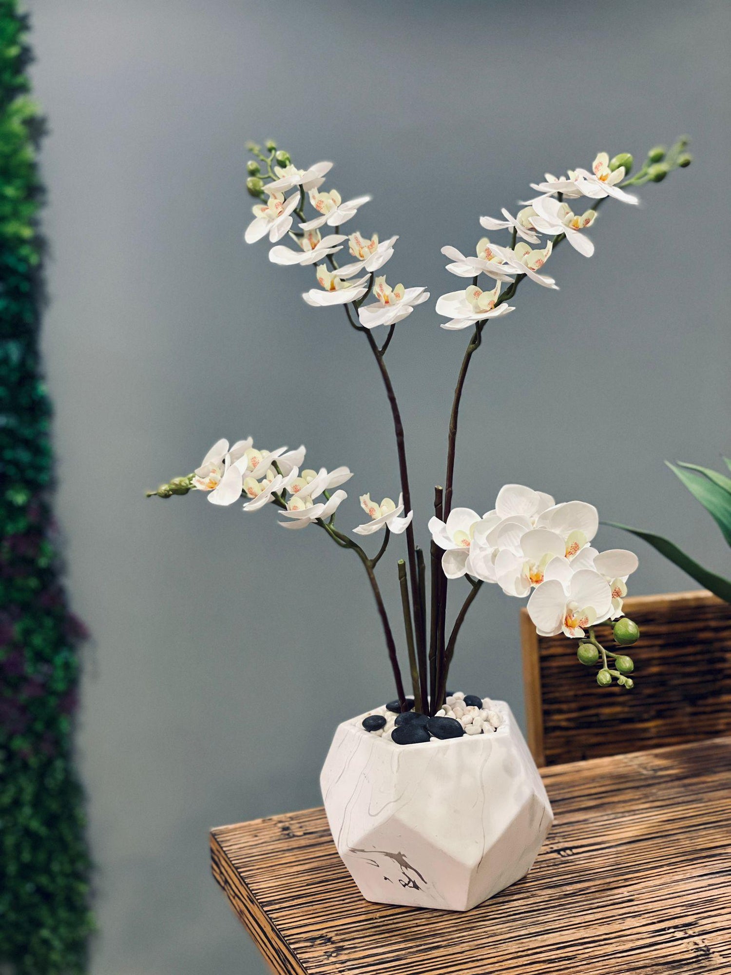 Orchid artificial - THE GARDEN CENTRE
