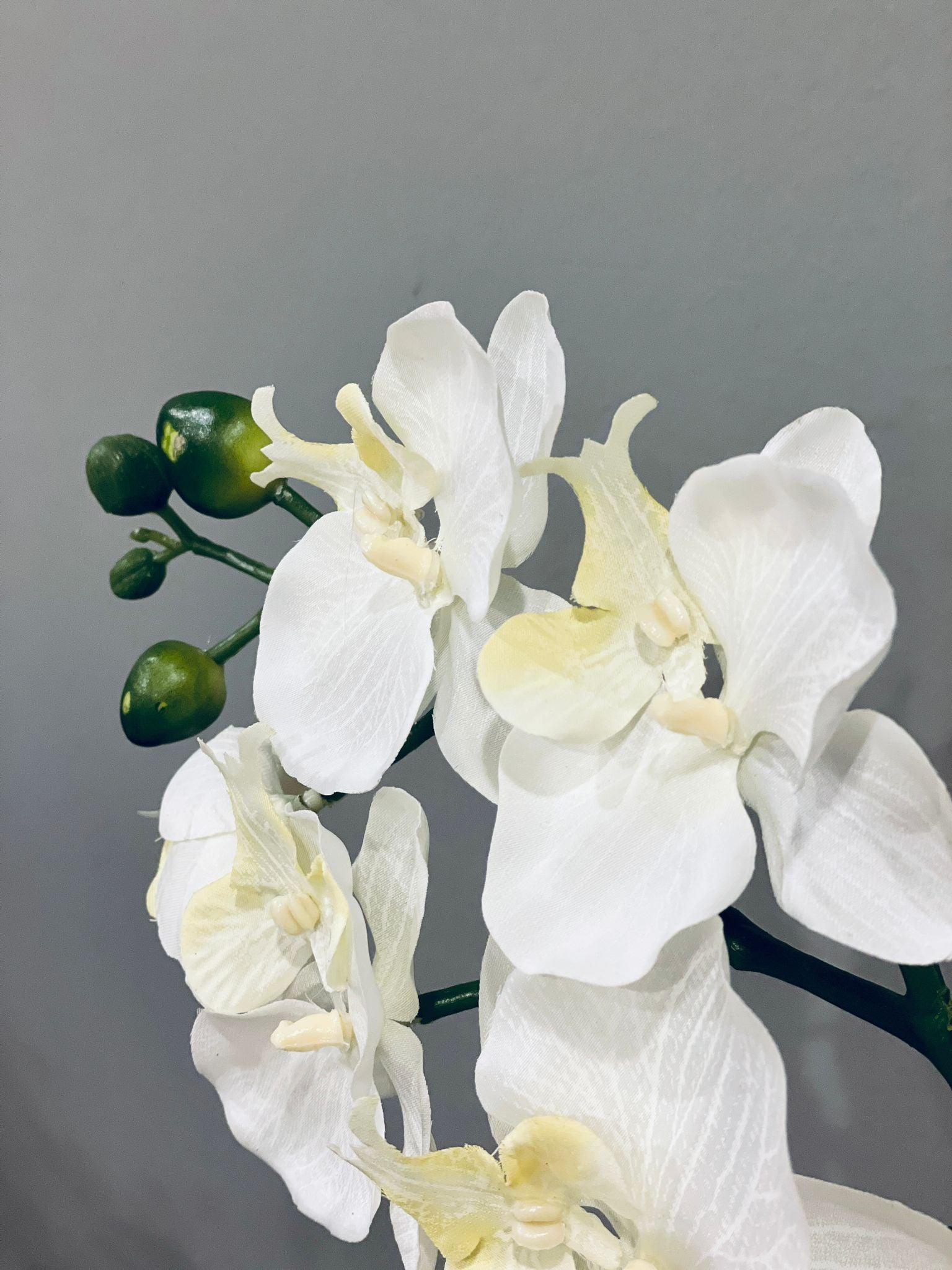 Orchid artificial - THE GARDEN CENTRE